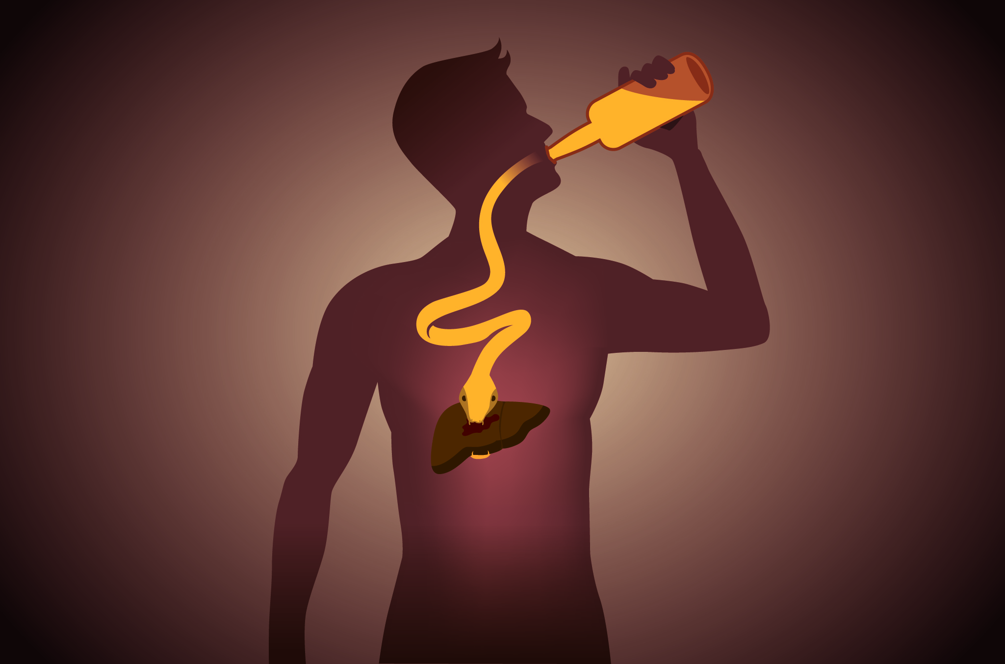 TROPPI FARMACI APPESANTISCONO IL FEGATO ma il più grande nemico è L’ALCOL